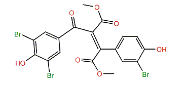 Synoilide B